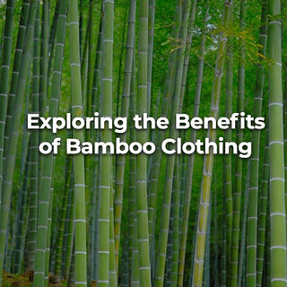 Why Bamboo Clothing is Soft, Smooth, and Sustainable?
