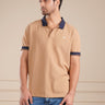 #color_light-brown