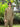 Men's Hemp Full Sleeve Open Collar Kurta