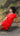 #color_cherry-red
