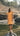 #color_mustard