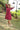 #color_red-wine