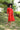 #color_cherry-red