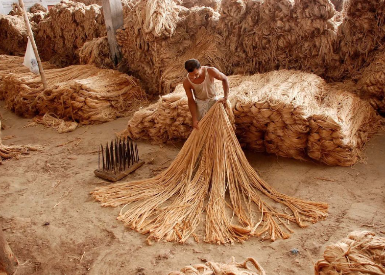 Jute's Eco-Chic Revolution