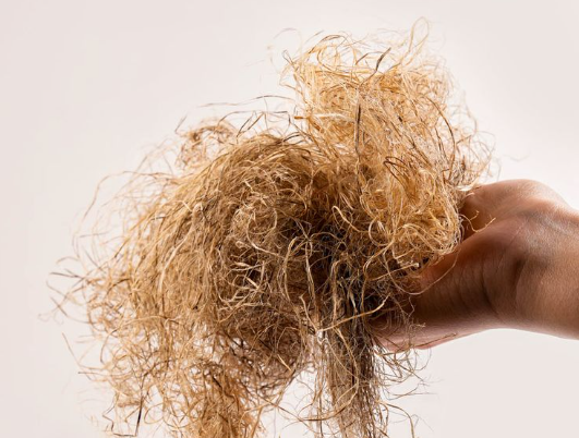 Why Hemp Belongs in Your Wardrobe