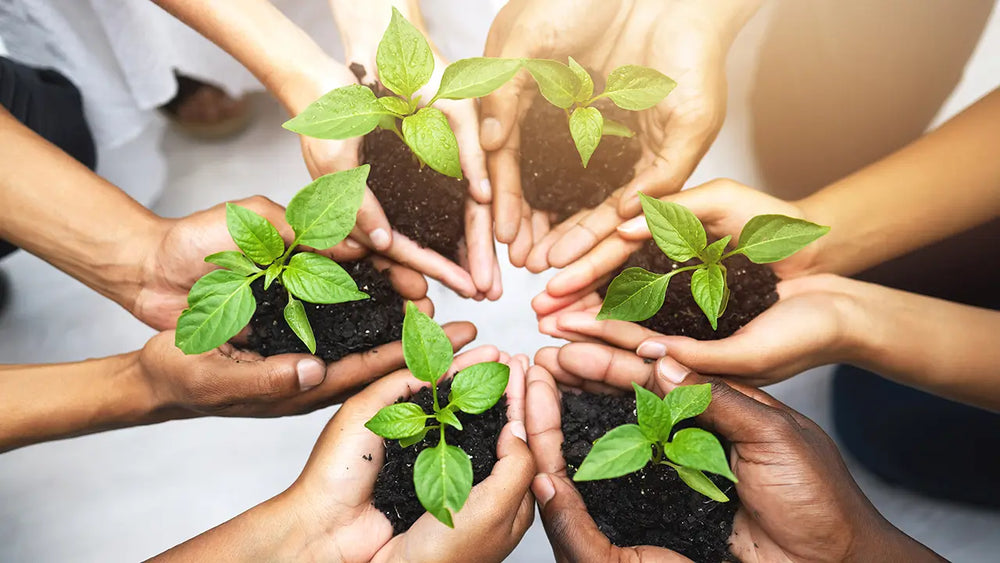 Environmental Stewardship: